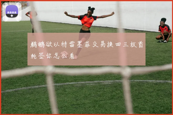鹈鹕欲以特雷墨菲交易换回三枚首轮签你怎么看