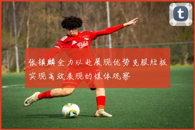 张镇麟全力以赴展现优势克服短板实现高效表现的媒体观察